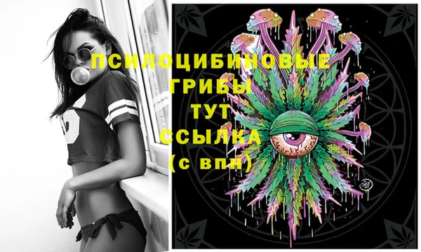 мдпв Заволжск