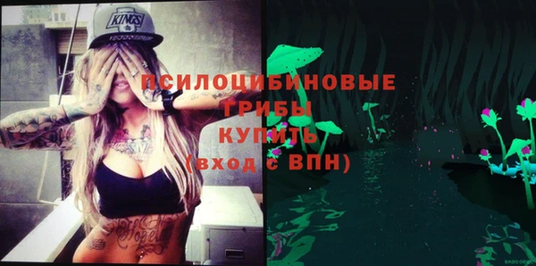 метадон Заводоуковск